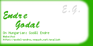 endre godal business card